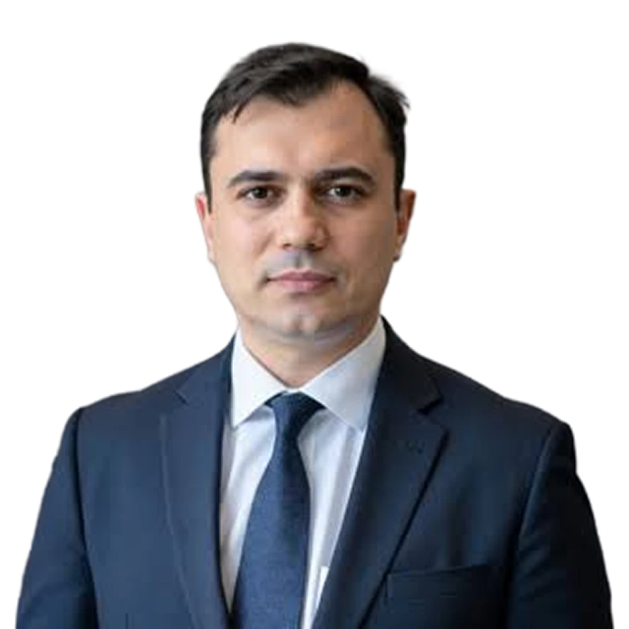 Mr. Stefan Efros